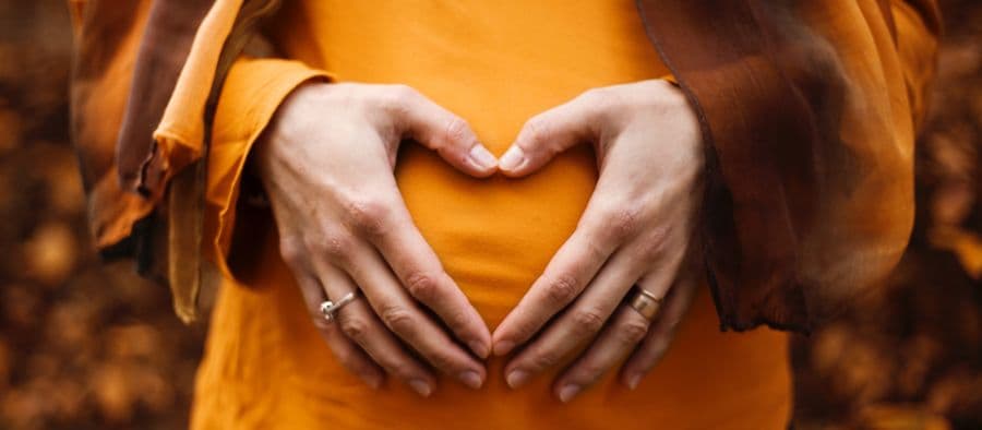 Community Family Health Model System (SIMOSAFC)